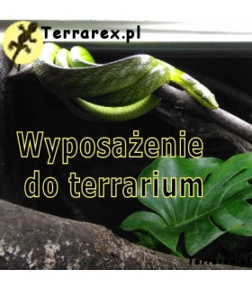 Wyposażenie terrarium