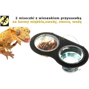 2w1-miseczki-wieszane-w-terrarium-gekona-orzesionego