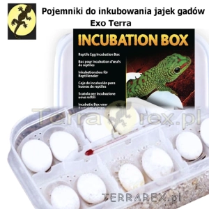 Boxy-pojemniki-inkubacji-jaj-pudelka-inkubacyjne-Exo-Terra