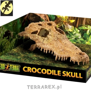 CZASZKA-krokodyl-Kryjowka-weza-agam-Crocodile-Skull-Exo-Terra
