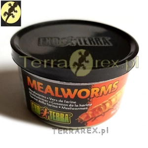 EXO-TERRA-MACZNIKI-puszce-34g-Canned-Mealworms