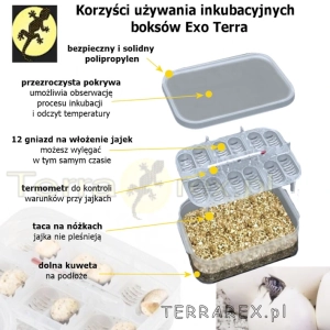 EXO-TERRA-box-do-inkubacji-jaj-w-inkubatorach