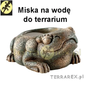 Exo-Terra-MISKA-NA-WODE-ZABA-AZTECKA-do-terrarium