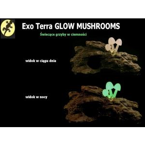 Exo-Terra-kryjowki-GLOW-MUSHROOMS-lampki-nocne
