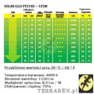 Jak-grzeje-zarowka-Solar-Glo-125W-Exo-Terra