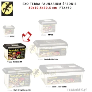Popularne-Faunarium-srednie-exo-terra-terrarium-30cm-sklep-terrarex
