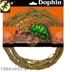 Reptile-vine-M-Dolphin-liana-jak-naturalna