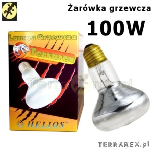 TERRAREX-ZAROWKI-GRZEWCZE-DZIENNE-100W-gadom