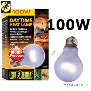 TERRARIUM-DAYTIME-HEAT-LAMP-100W-A19-EXO-TERRA
