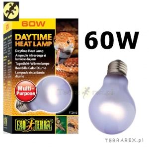 TERRARIUM-DAYTIME-HEAT-LAMP-60W-A19-PT2110