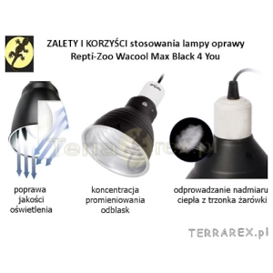 Zalety-lamp-terrarium-Repti-Zoo-Black-4U-Wacool-dla-agamy-kameleona-gekona