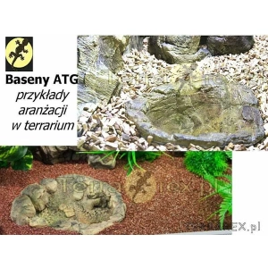 baseny-oczka-wodne-terrarium-palludarium-ATG