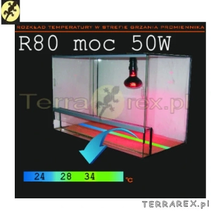 cieplo-w-terrarium-zarowka-50W-czerwona-temperatura