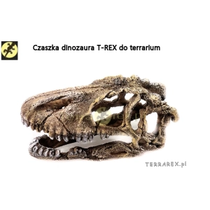 duza-czaszka-dinozaura-do-terrarium-T-rex