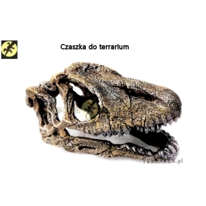 duza-czaszka-do-terrarium-T-rex-sklep-Terrarex