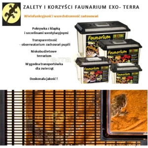 faunaboksy-boksy-Faunarium-EXO-TERRA-dla-gadow