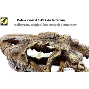idealne-czaszki-do-terrarium-sklep-Terrarex