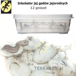 inkubator-jaj-gadow-jajorodnych
