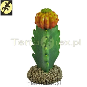 kaktus-do-terrarium-gadow-escobaria-dekoracja