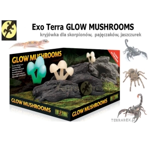 kryjowka-dla-gekona-skorpiona-mushrooms-Exo-Terra