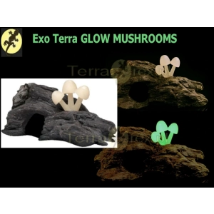 kryjowka-glow-mushrooms-grzyby-swiecace-Exo-Terra-średnia-dla-gekona
