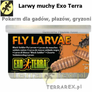 larwy-muchy-w-puszce-exo-terra-białkowy-pokarm-gadzi