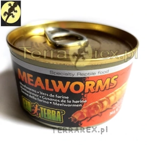 pokarmy-EXO-TERRA-mealworms-maczniki