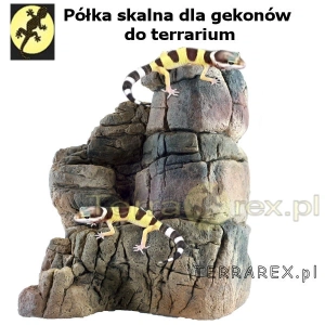 polka-skalna-dla-gekona-agamy-terrarium-ATG