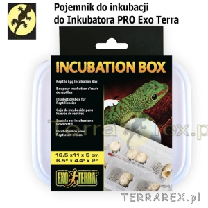 pudelko-do-inkubatora-jaj-gada-Exo-Terra-Pro