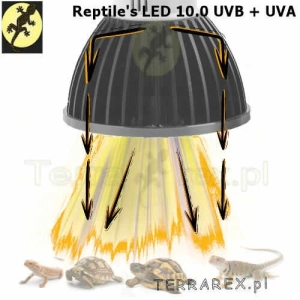 reptiles-uvb-10_0-z-uva-led-terrarium-dzialanie-ciepla