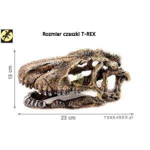Kryjówko - CZASZKA do terrarium T-Rex Skull  wymiary