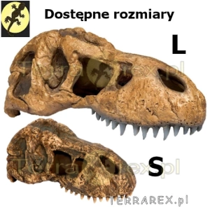 czaszki-dinozaura-TRex-Exo-Terra-Skull-dla-gadow-TERRARIUM