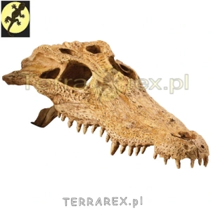 kryjowka-gadow-terrarium-Crocodile-Skull-EXO-TERRA