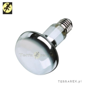 lampa-grzewcza-do-terrarium-35W-E27-TRIXIE