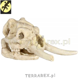 terrarex-ozdoba-kryjowka-terrarium-CZASZKA-SLONIA-elephant