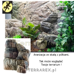 terrarium-ze-skala-z-polkami-ATG-32x28x16cm