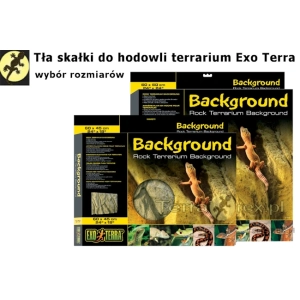 tla-do-terrarium-Exo-Terra-wybierz-najlepszy-rozmiar