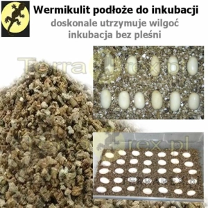 wermikulit-do-inkubacji-jajek-gekona-agamy-wezy