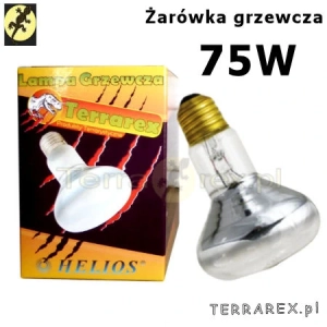 zarowka-grzewcza-dzienna-dla-gadow-75W-Terrarex